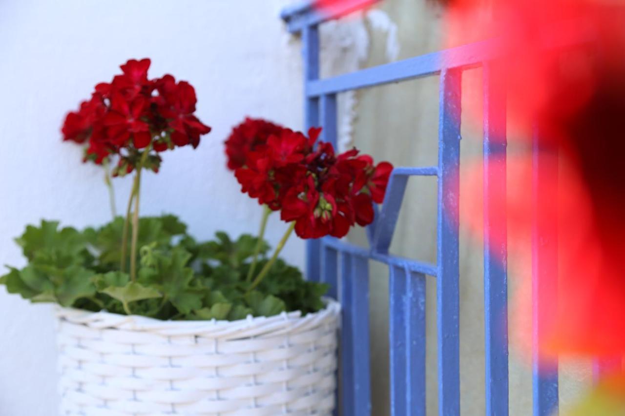 Petalida Apartment Keramoti  Bagian luar foto